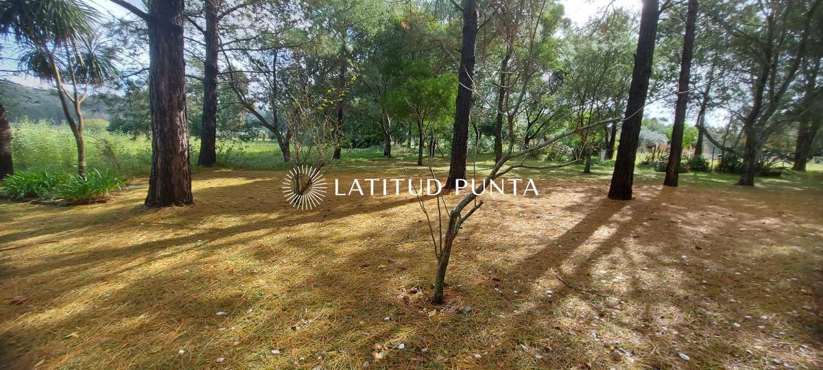Foto de Excelente chacra zona Lapataia. Punta Ballena, imagen 4