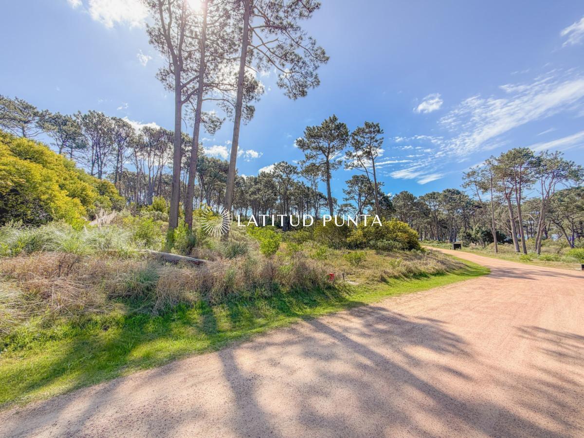 Foto de Terreno en Reserva Montoya, imagen 1