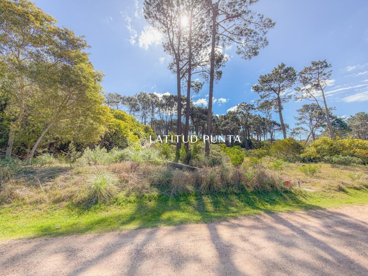 Foto de Terreno en Reserva Montoya, imagen 2