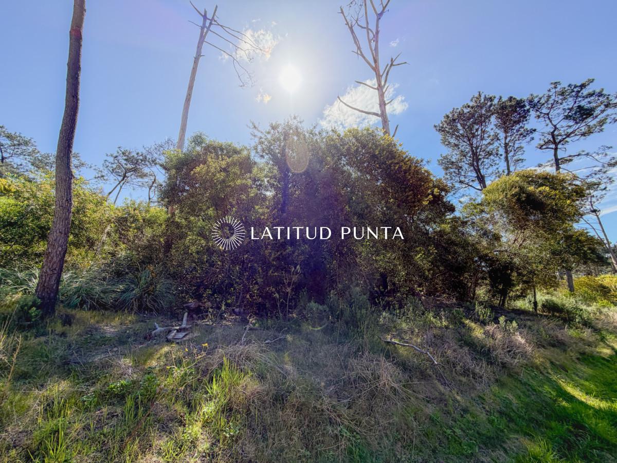 Foto de Terreno en Reserva Montoya, imagen 1