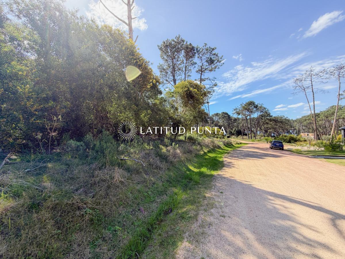 Foto de Terreno en Reserva Montoya, imagen 3