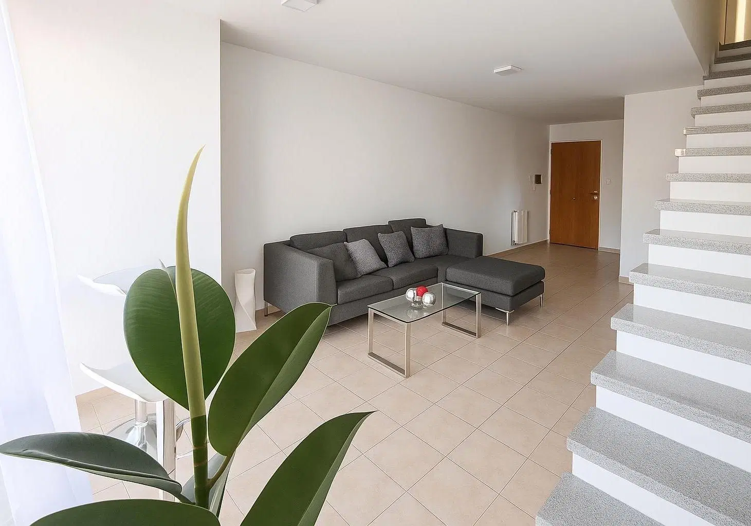 LIMA  |    JACINTO RIOS 5