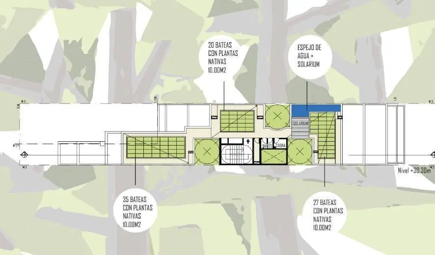 Plano 5