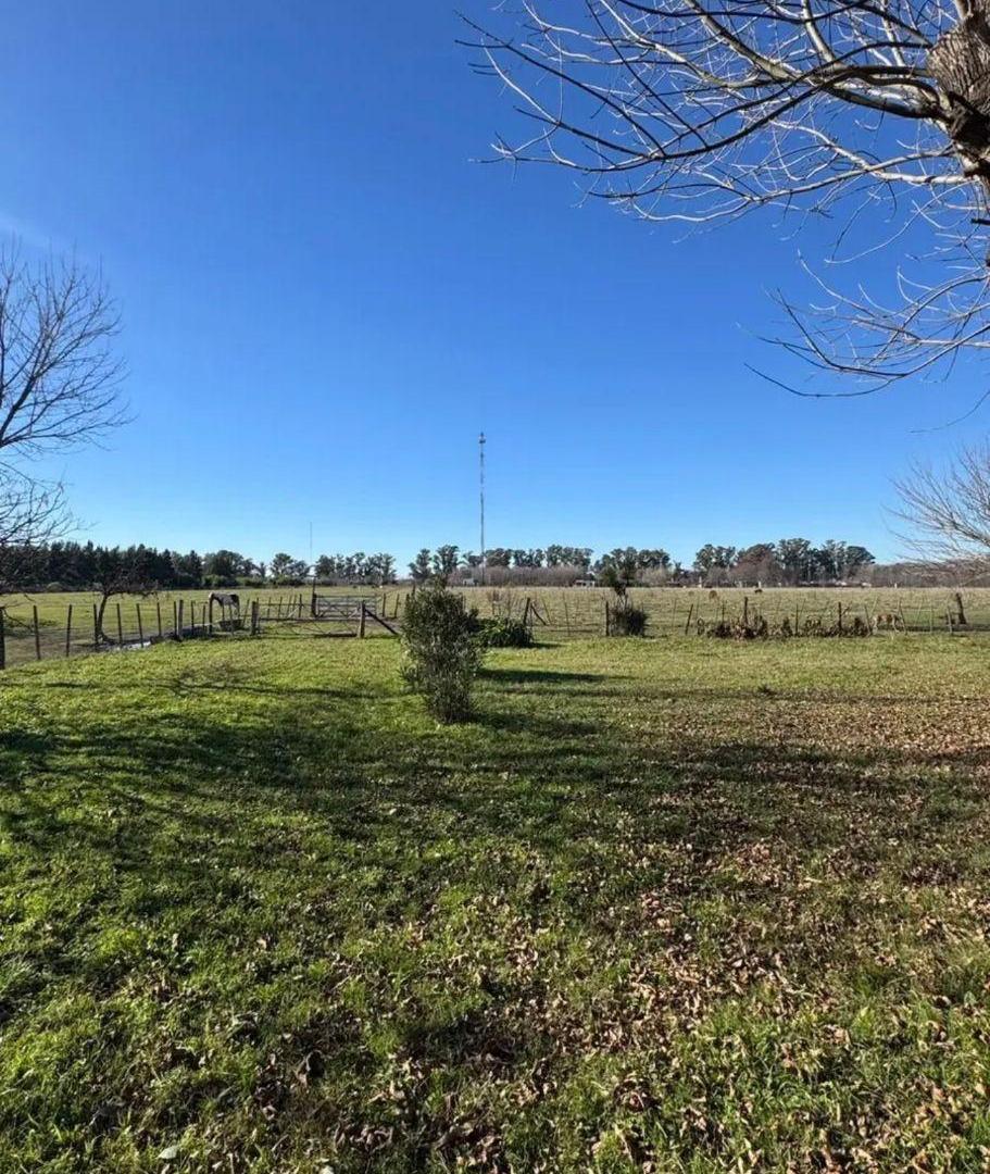 Foto de Campo en venta de 41 ha ubicado en Cañuelas, ideal inversión, imagen 5