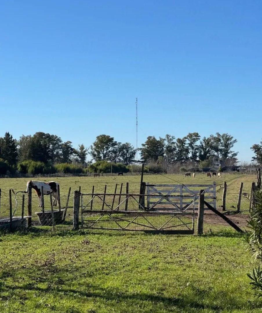 Foto de Campo en venta de 41 ha ubicado en Cañuelas, ideal inversión, imagen 4