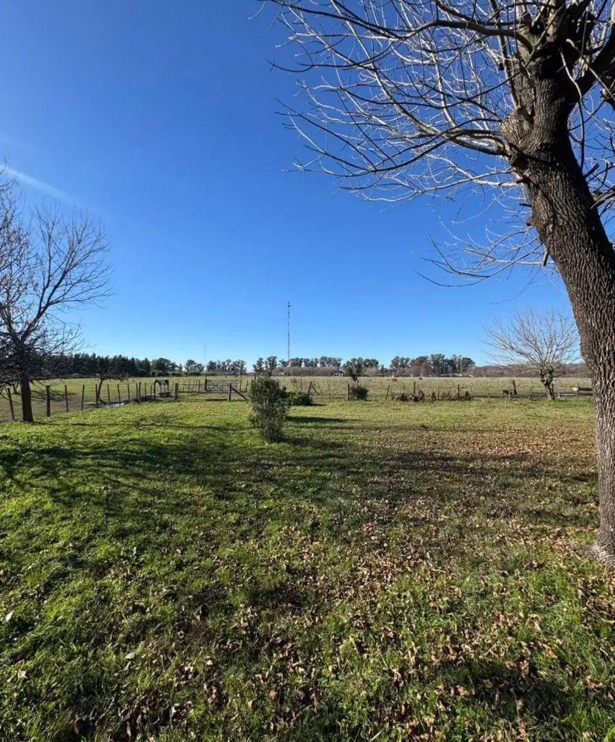 Foto de Campo en venta de 41 ha ubicado en Cañuelas, ideal inversión, imagen 2