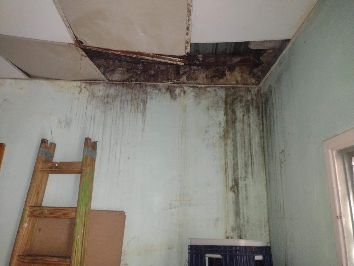 Lote con 4 PH reciclar y Galpon 