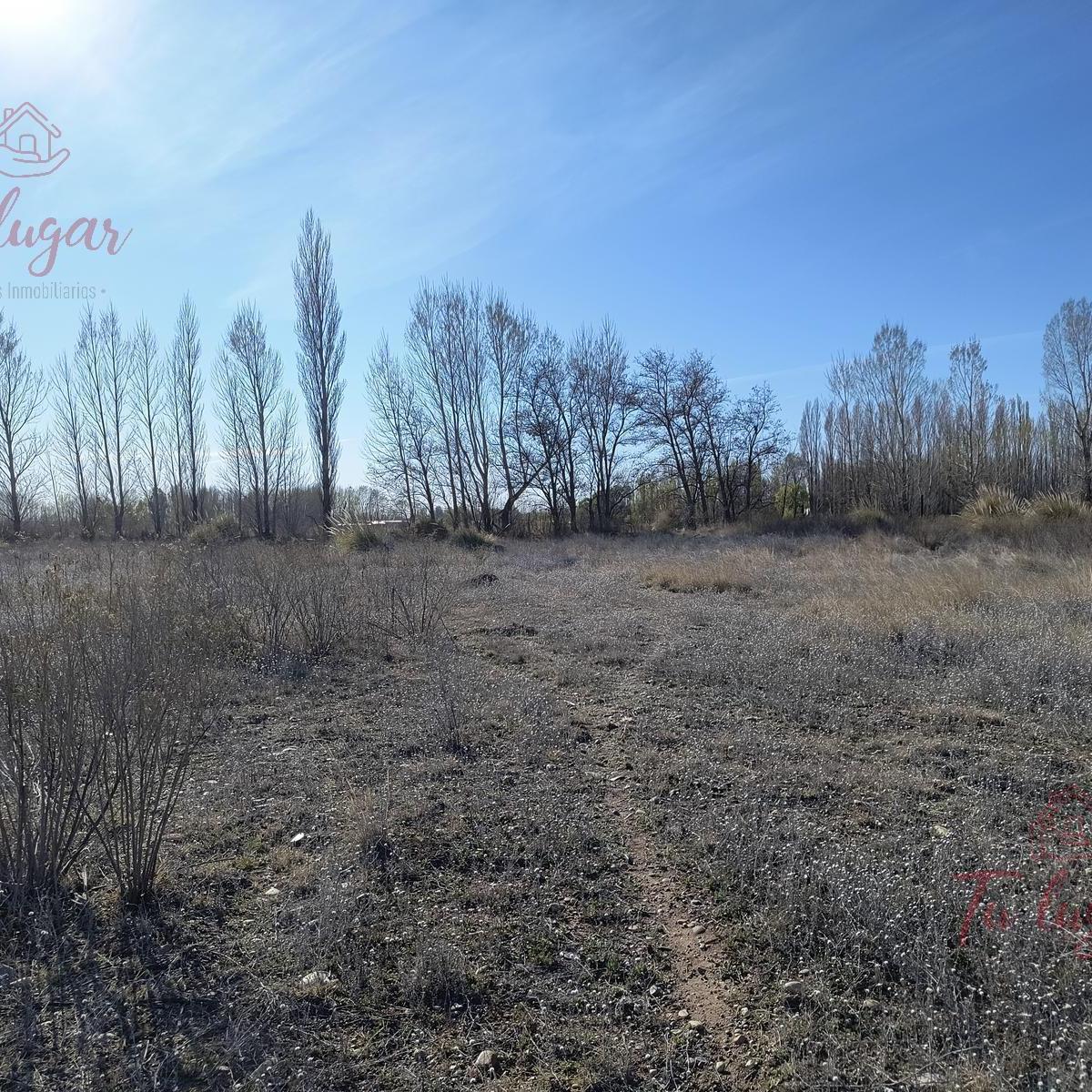 Oportunidad Inversion, Venta Chacra Ubicada en Colonia San Francisco 1,8 Ha 1