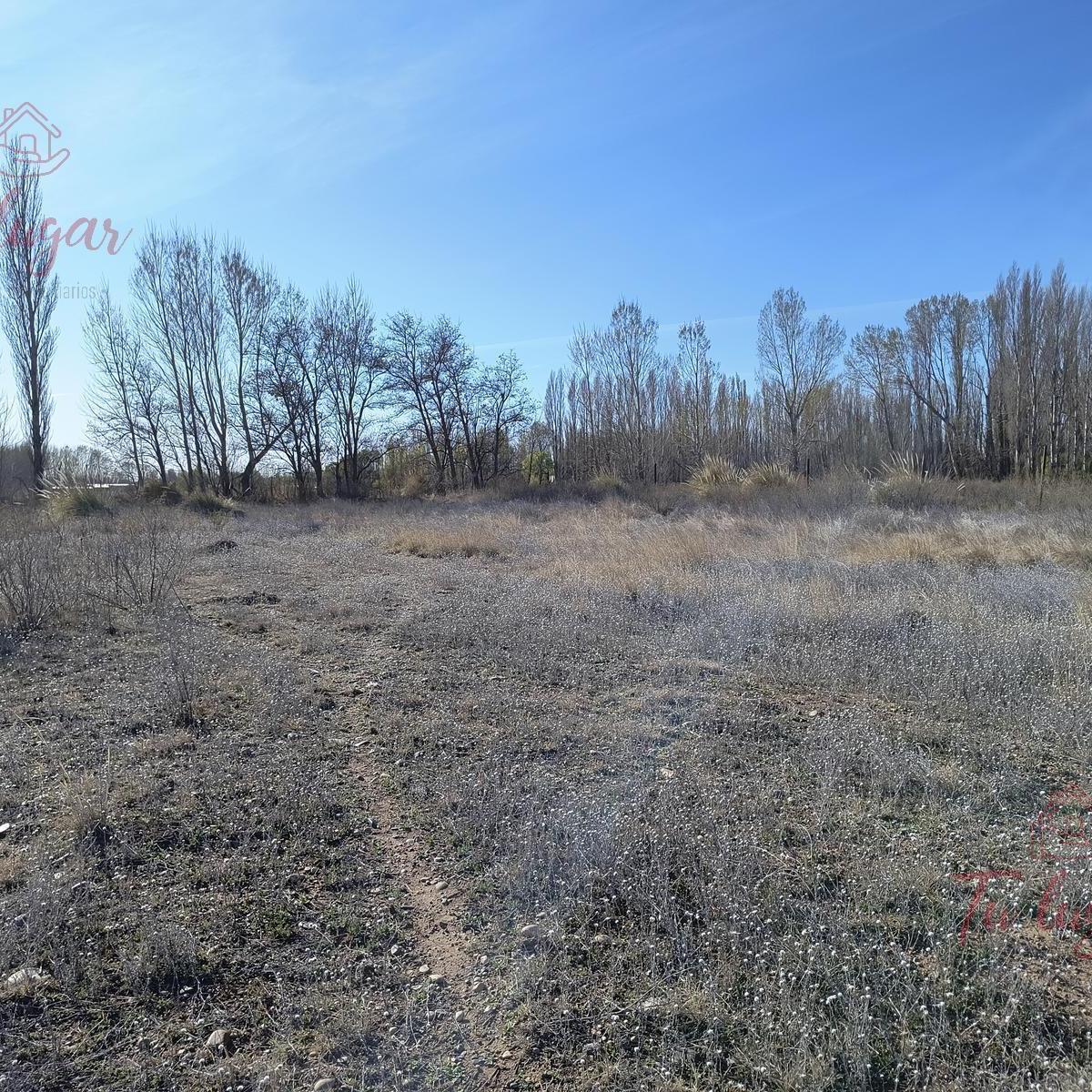 Oportunidad Inversion, Venta Chacra Ubicada en Colonia San Francisco 1,8 Ha 2