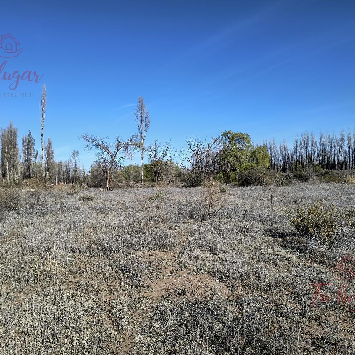 Oportunidad Inversion, Venta Chacra Ubicada en Colonia San Francisco 1,8 Ha 3