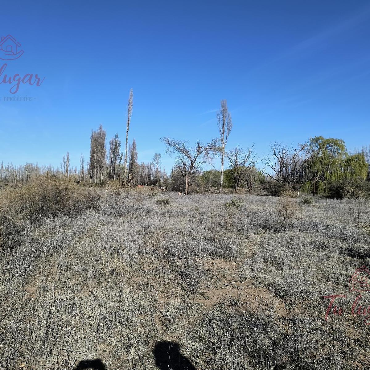 Oportunidad Inversion, Venta Chacra Ubicada en Colonia San Francisco 1,8 Ha 5