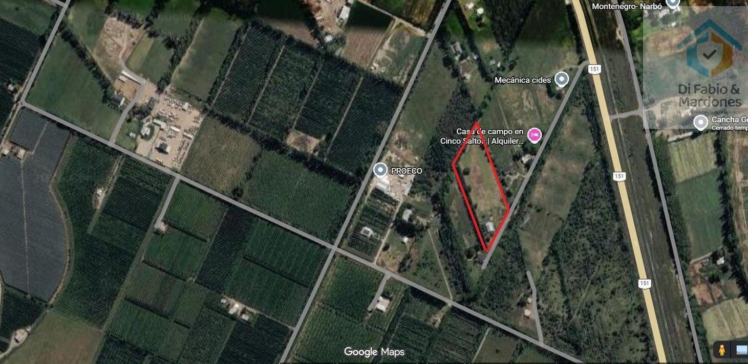 Foto de VENTA Casa Quinta Cinco Saltos 1.5htas, imagen 5