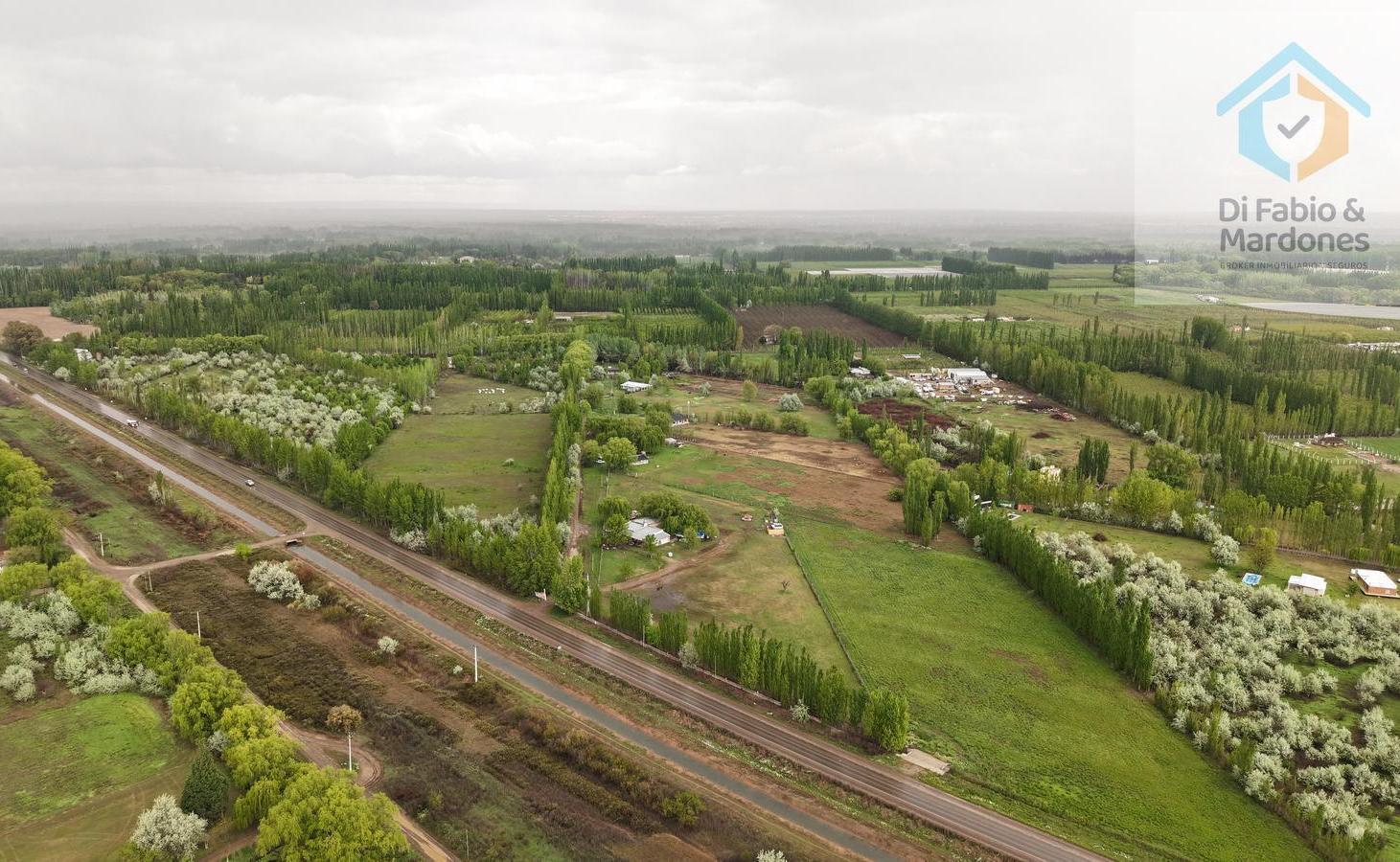 Foto de VENTA Casa Quinta Cinco Saltos 1.5htas, imagen 4