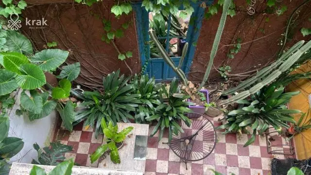 Local Comercial en Palermo Soho - Ideal Coworking, Cafe de especialidad, wine bar, estudio 2