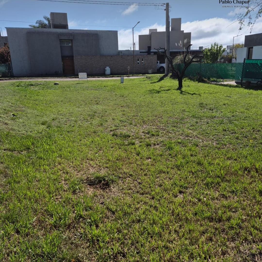 Foto de Terreno de 450 m² en venta en Villa Catalina, imagen 4