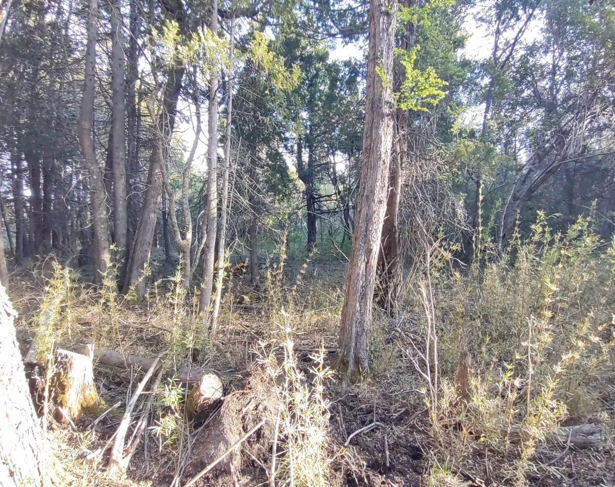 Lote en Lago Morenito Sobre Calle Juan Jose Castro, Bariloche. 4
