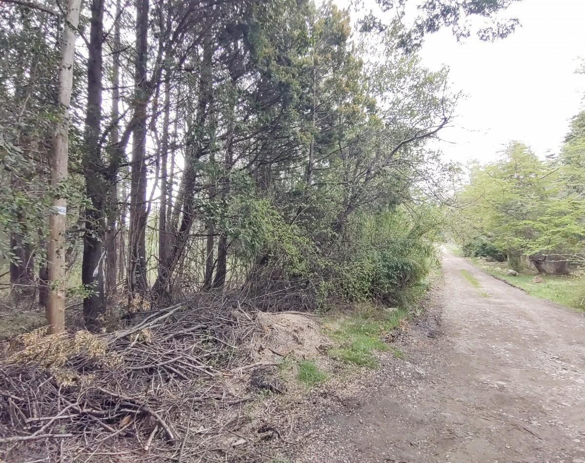 Lote en Lago Morenito Sobre Calle Juan Jose Castro, Bariloche. 2