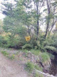Lote en Lago Morenito Sobre Calle Juan Jose Castro, Bariloche. 3