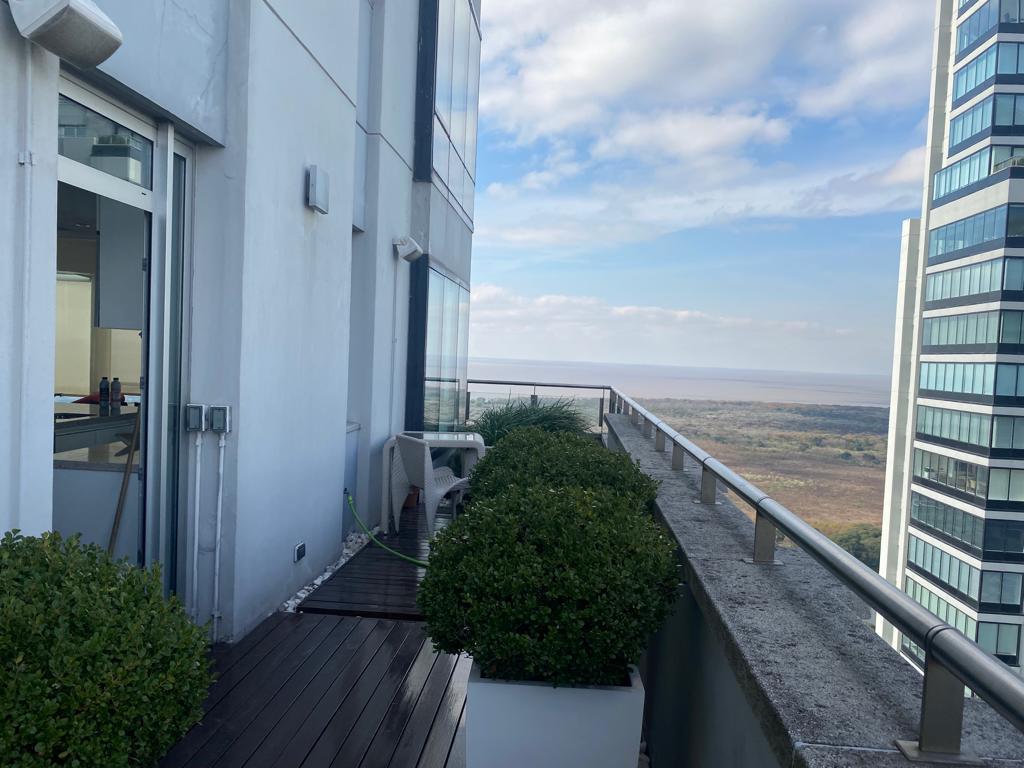 Renoir, Puerto Madero, Piso de 500 m², 6 Ambientes, con Terraza y 4 Cocheras 2
