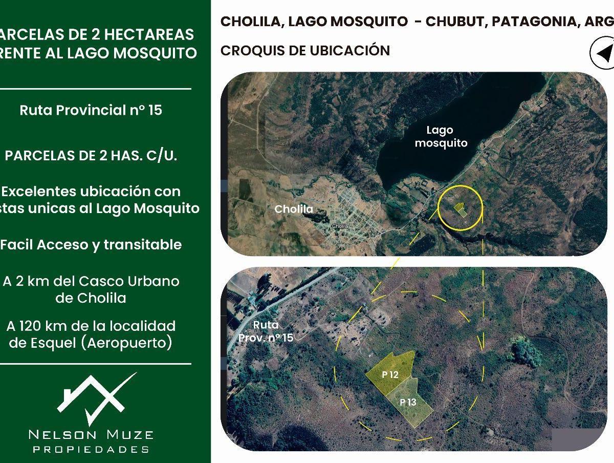 Foto de Chacra de 2 hectáreas en Cholila, Chubut. Increíbles!!!, imagen 2