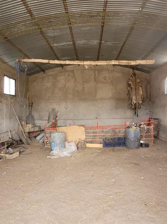 Foto de Campo productivo 16 mil hectáreas, Paso de Indios, Chubut, imagen 4