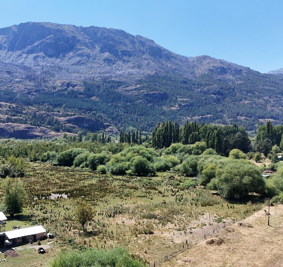 Venta de Chacra 5 Ha con Servicios. El Hoyo, Chubut 4