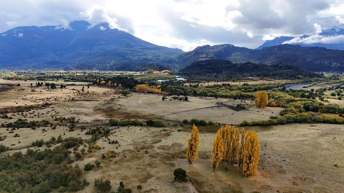 Venta Campo en Cordillera. Zona Los Cipreses. Chubut. 1