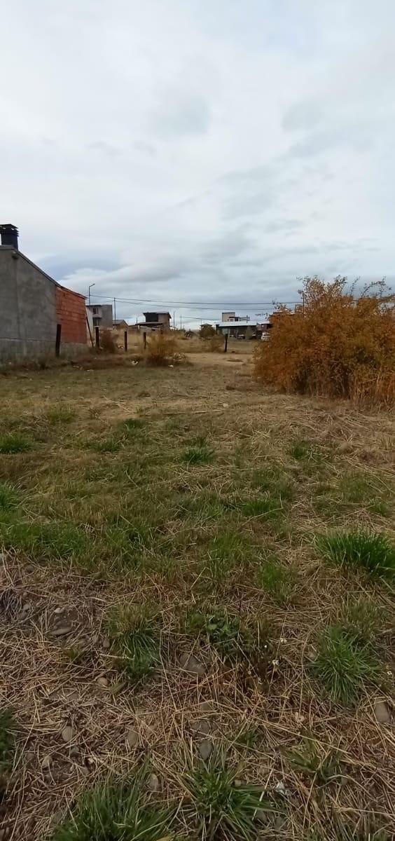 Venta Terreno Trevelin. con Servicios. Apto Crédito. 5