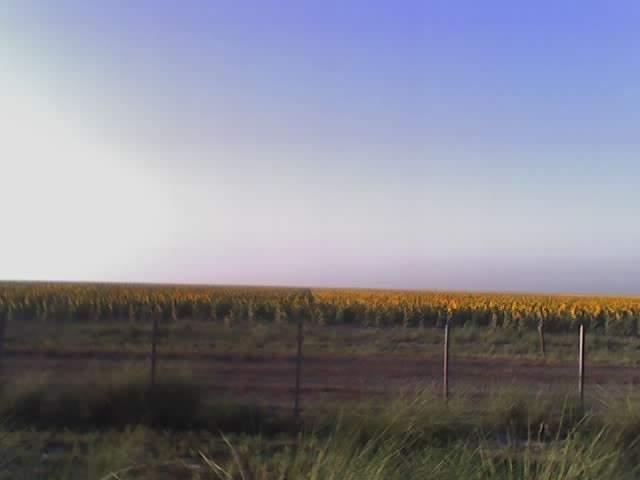Campo en Venta - Santiago del Estero - 1062 HTAS