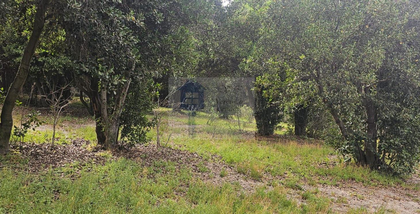 Foto de Vendo Lote 8 En Mza L1 Meliquina 2, imagen 1