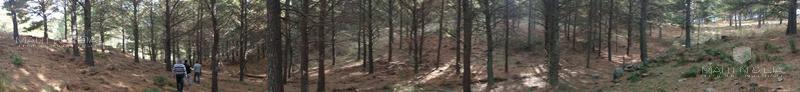 Chacras de Montaña - Villa Berna 2