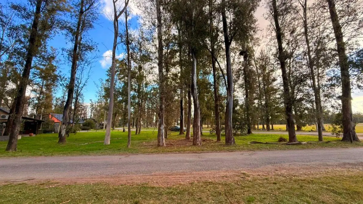 LOTE EN VENTA EN CAMPO TIMBÓ – OLIVEROS 2