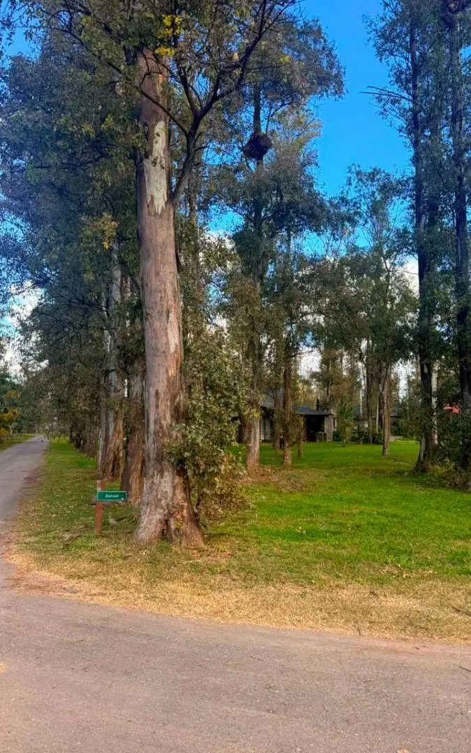 LOTE EN VENTA EN CAMPO TIMBÓ – OLIVEROS 5