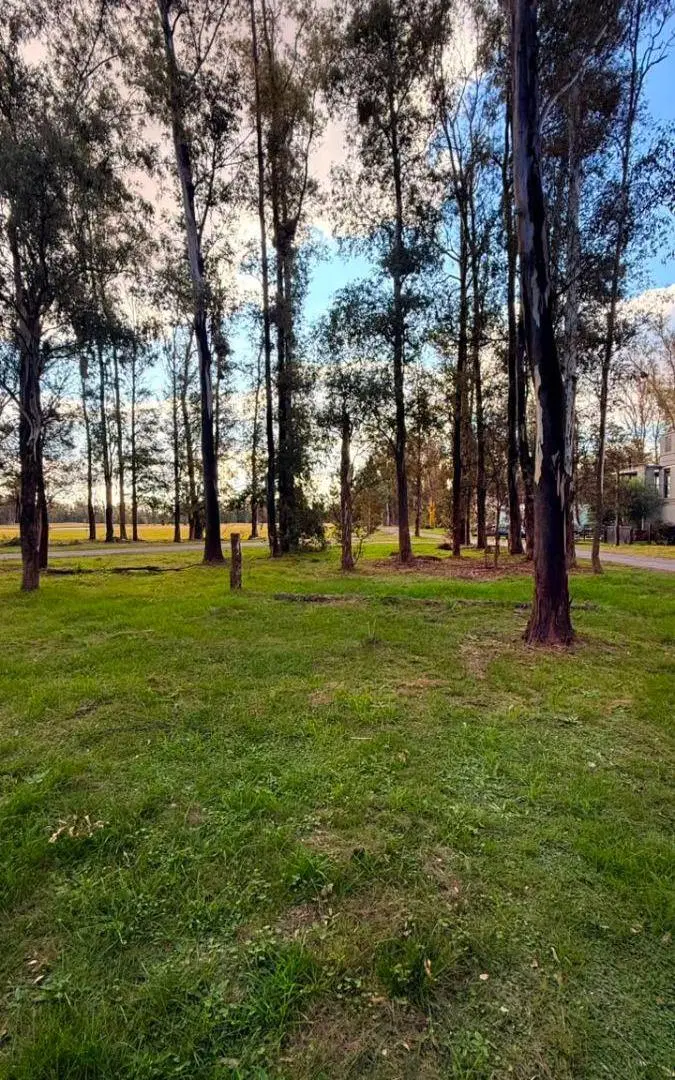 LOTE EN VENTA EN CAMPO TIMBÓ – OLIVEROS 3