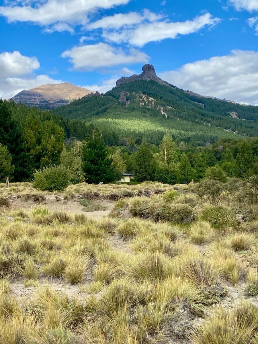 FABIENNE EDELBERG FE Propiedades VENDE LOTE MELIQUINA MZA D1 1000 M2