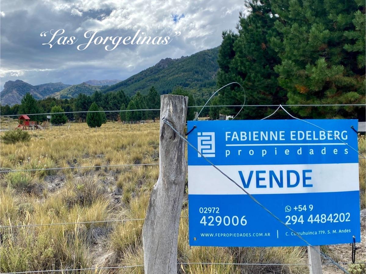 Foto de FABIENNE EDELBERG FE Propiedades VENDE LOTE MELIQUINA MZA D1 1000 M2, imagen 2