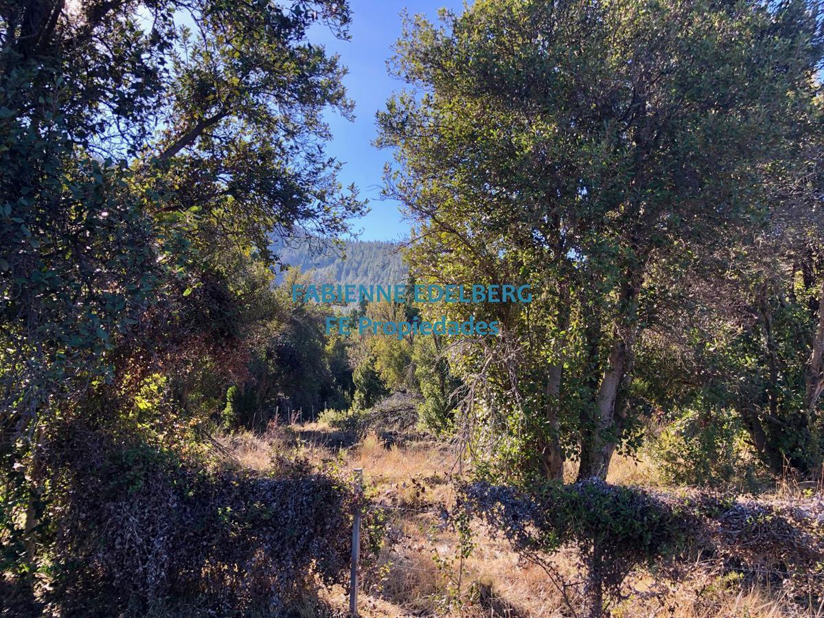 Foto de Terreno - Meliquina, imagen 5