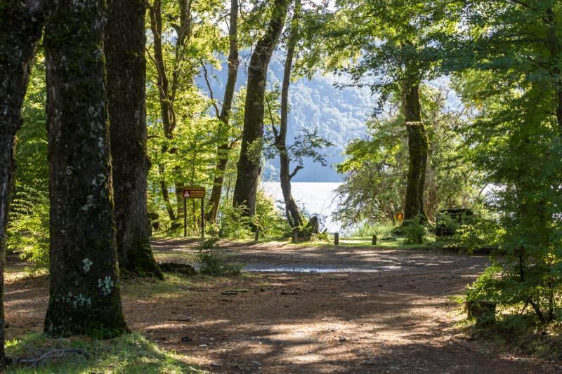 EN VENTA 1HECTÁREA EN QUILA QUINA Lago Lácar San Martín de los Andes