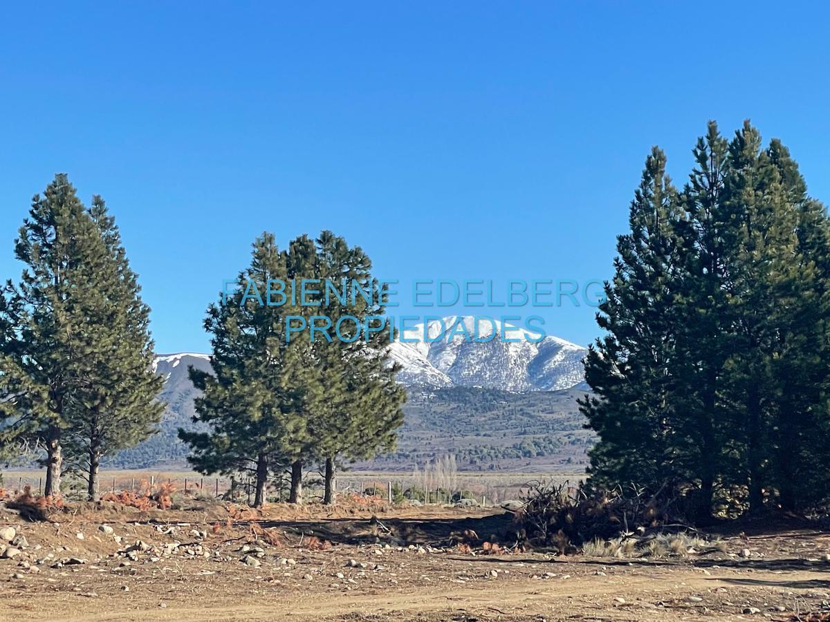 Foto de EN VENTA 1 HECTÁREA SOBRE RÍO QUILQUIHUE EN SAN MARTIN DE LOS ANDES, imagen 4