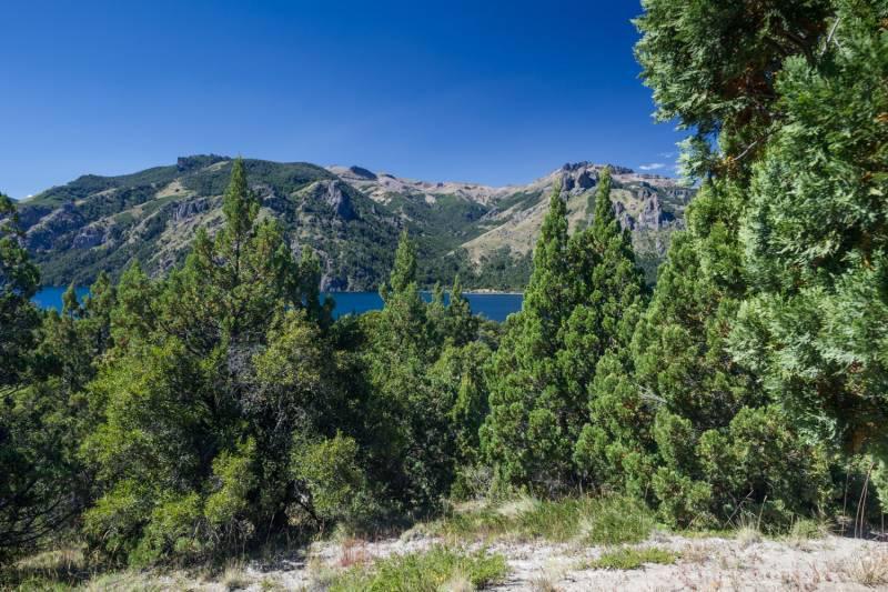 Foto de VENTA EXCELENTES 3 HECTAREAS EN VILLA LAGO MELIQUINA, imagen 5