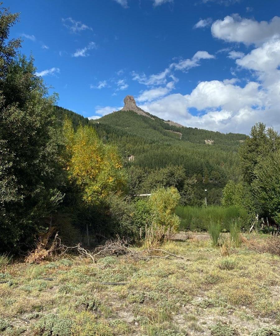 Foto de Lote en Meliquina a 100 m de la ruta | Plano y con asfalto en, imagen 4