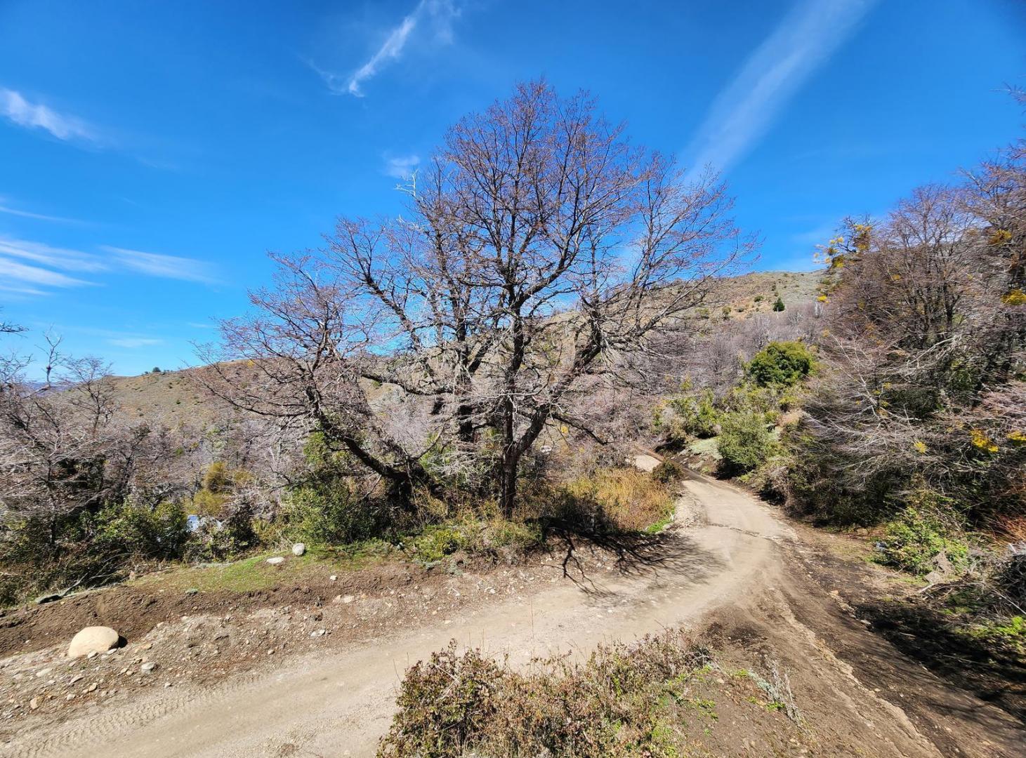Terreno - San Martin De Los Andes