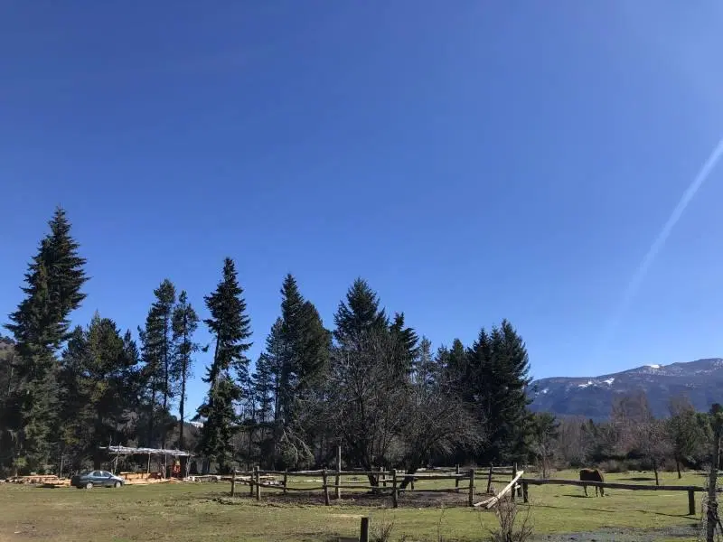 VENTA EXCELENTE 1,7 HECTAREA - QUILA QUINA - SAN MARTIN DE LOS ANDES 2