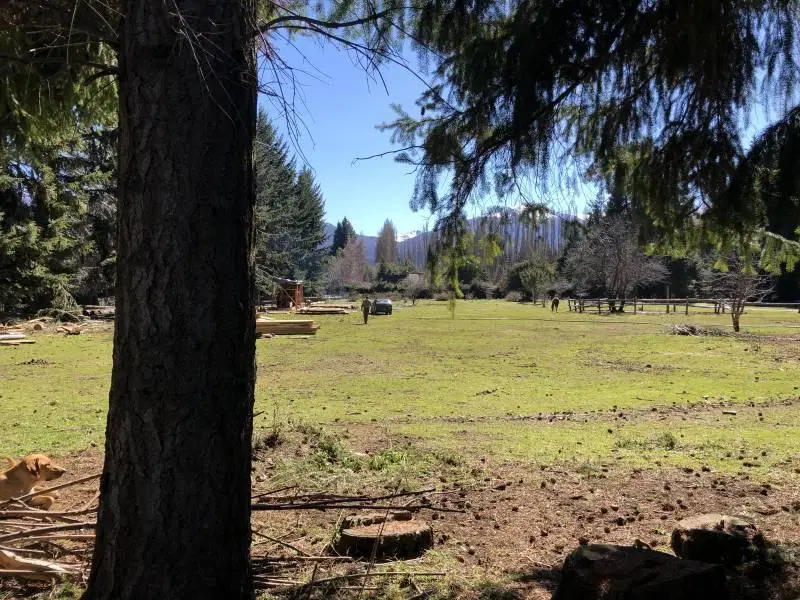 VENTA EXCELENTE 1,7 HECTAREA - QUILA QUINA - SAN MARTIN DE LOS ANDES 4