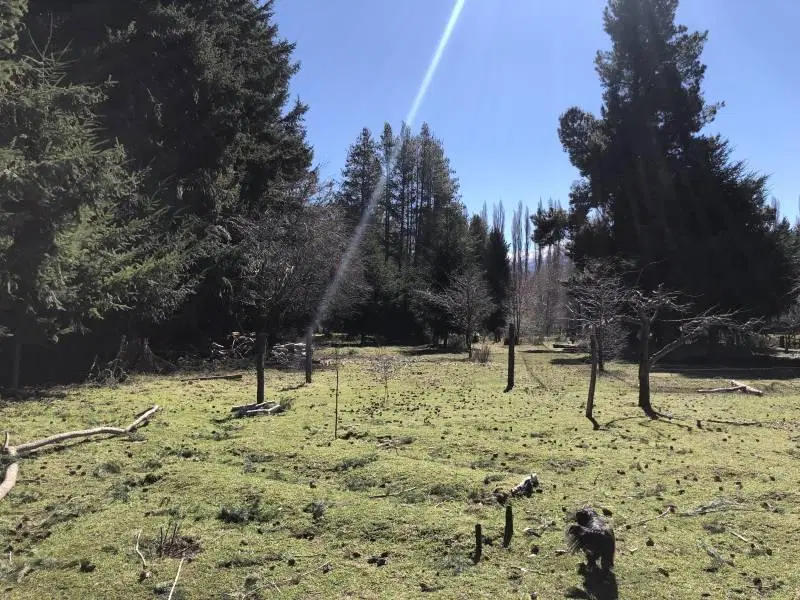 VENTA EXCELENTE 1,7 HECTAREA - QUILA QUINA - SAN MARTIN DE LOS ANDES 5