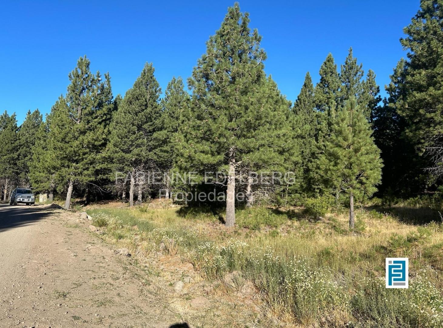 Terreno en El Desafio Mza D03 2547 m2 - SAN MARTIN DE LOS ANDES