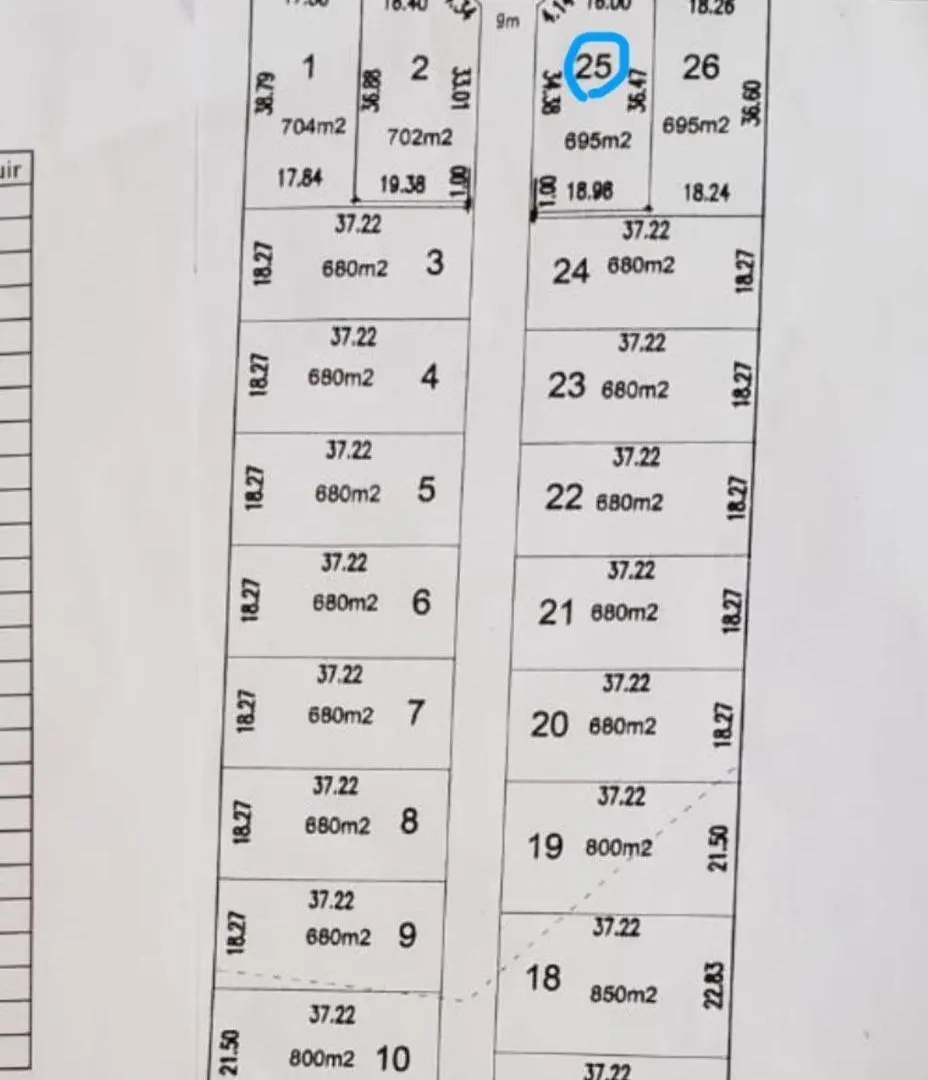 Plano 1