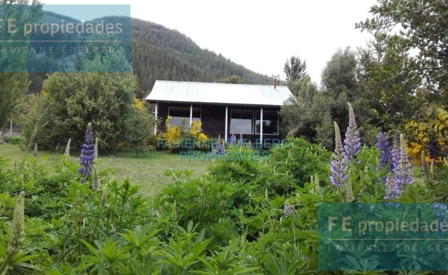Cabaña de montaña en Meliquina sobre 2 lotes parquizados | 2000 m² - 3