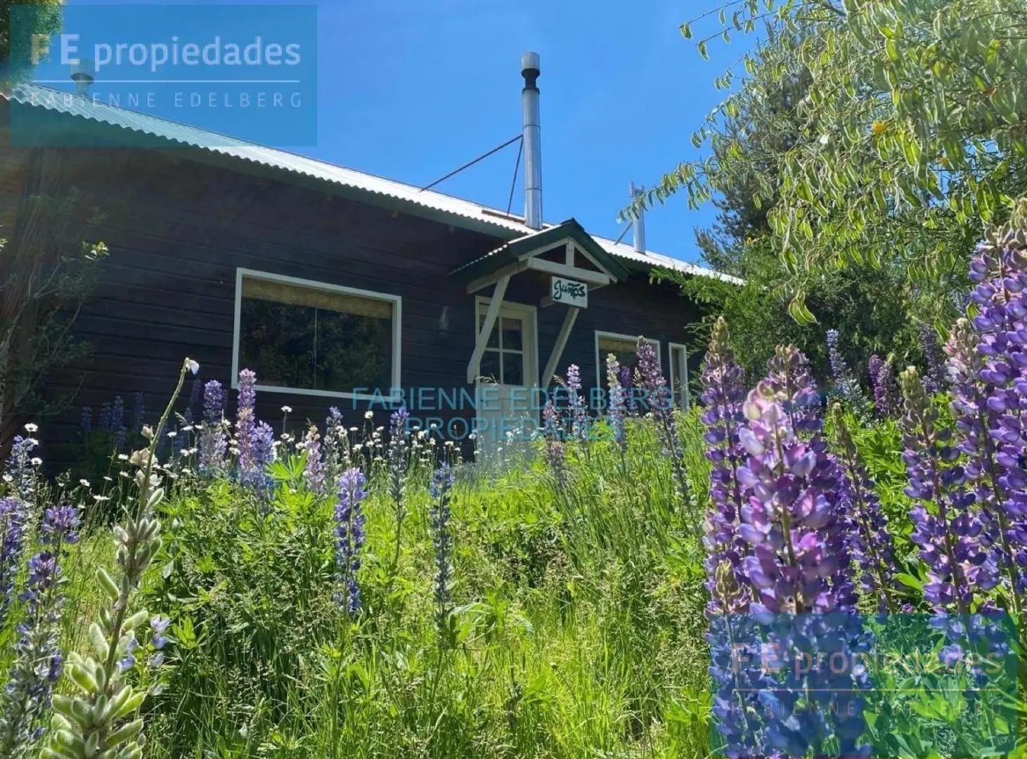 Cabaña de montaña en Meliquina sobre 2 lotes parquizados | 2000 m² - 2