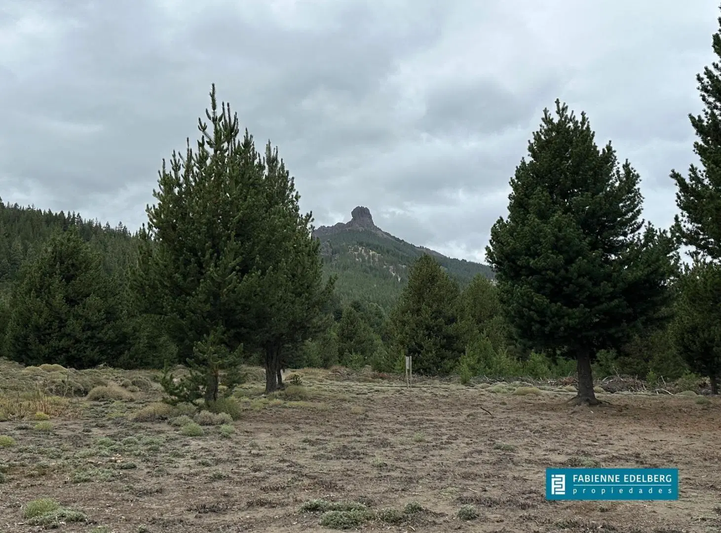 Lotes en Meliquina 2040 m² | Planos y listos para construir Arroyo   asfalto en proceso | Oportunida 2